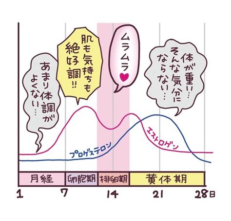 生理周期 ムラムラ|生理中、ムラムラしたどうしてる？ 性欲が高まる理。